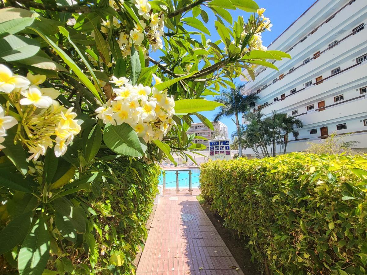 Las Camelias Apartments Playa del Inglés Exteriér fotografie