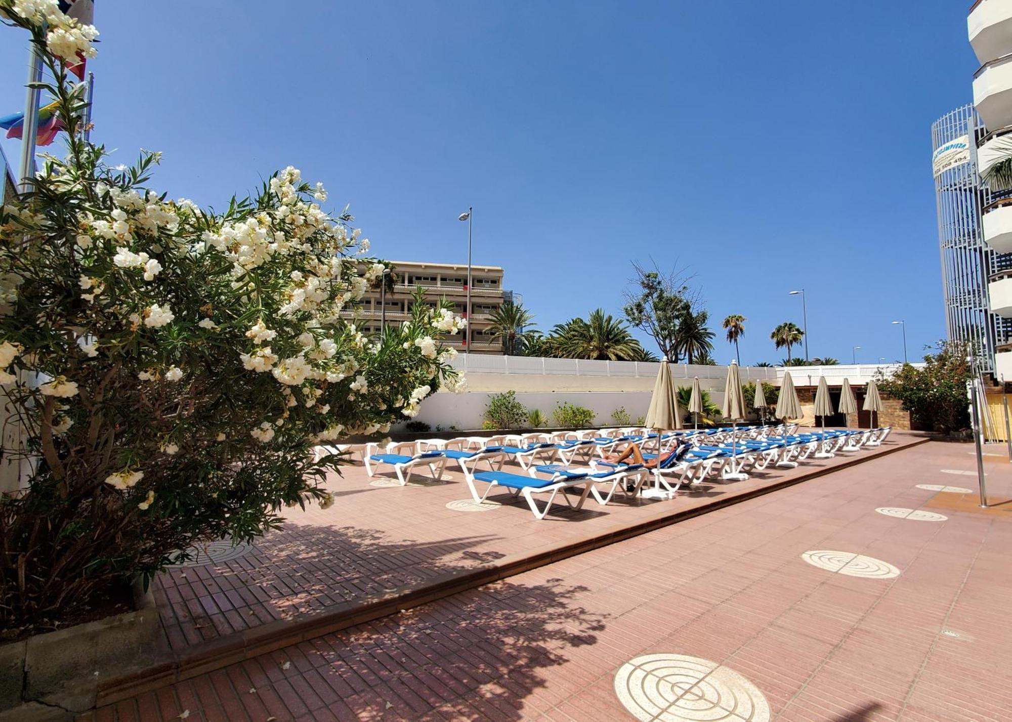 Las Camelias Apartments Playa del Inglés Exteriér fotografie